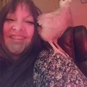 Tami Law's photo