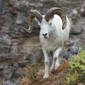 Jarvis Lutynski's photo