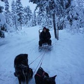 Taras Maksymovych's photo