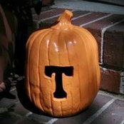 Diane Perdue-Shupe's photo
