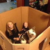 Judi Hall's photo