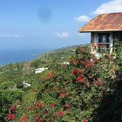 Cathy Roth's photo
