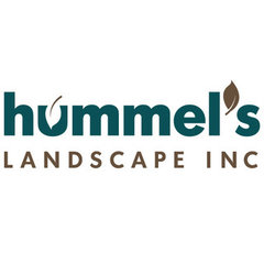 Hummels Landscape