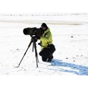 William Quilindo's photo
