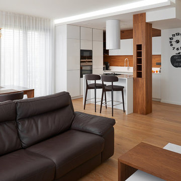 Sunny apartment in the DOCK residence.