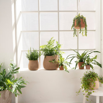 Faux Greenery Farmhouse Decor Collection - Hearth & Hand with Magnolia™
