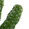 Vickerman 31" Artificial Green Potted Cactus