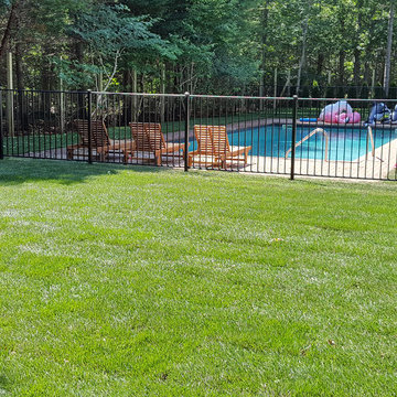 Backyard Makeover Installing Sod, Privacy Hedge, Flower Garden, Gravel Driveway