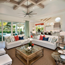 Living Room Ideas