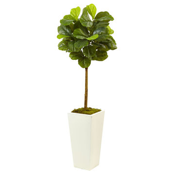 4.5' Fiddle Leaf Fig In White Planter, Real Touch