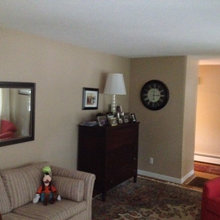 Living Room Ideas