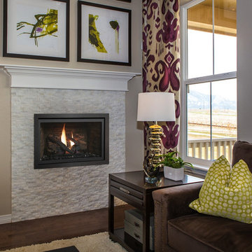 Fireplace Xtraordinair Design Gallery