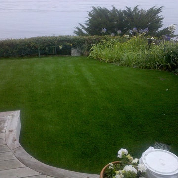Turf
