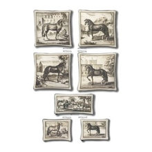 equestrian accents
