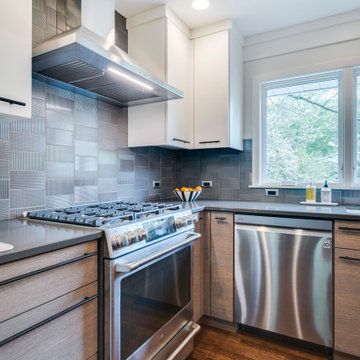 Contemporary Golden Valley Kitchen