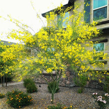 Our AZ Home