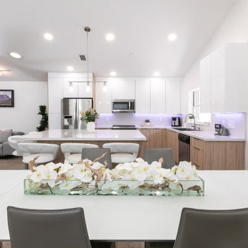 Streamlined Contemporany Open concept KIrtchen