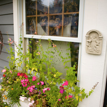 Window Box Gardens
