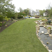 Backyard ideas