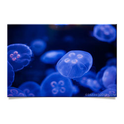 Jellyfish Collection - Prints And Posters