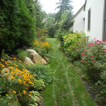 Suburban Garden
