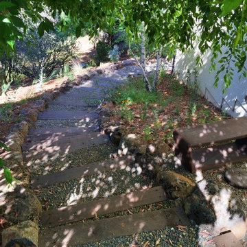 Steps & Pathways