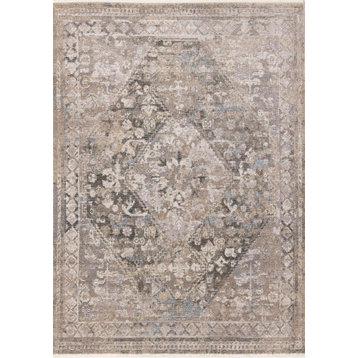 Eva Collection Gray Beige Intricate Traditional Rug, 5'3"x7'3"