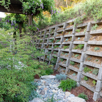 "Living Wall" with Dry Creek Bed