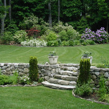 Landscape Ideas