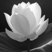 Carmen Lee's photo