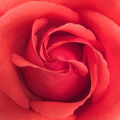 user1024s foto