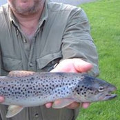 Stephen Billingham's photo