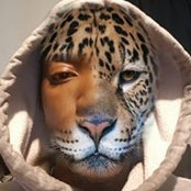 Malik Mckoy's photo