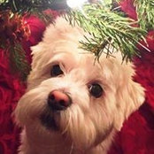 Marlee Meschke's photo