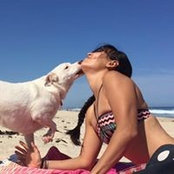 Lib Stevens's photo