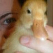 Abby Nathanson's photo
