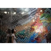 Maggie Wang's photo