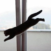 Laura C's photo