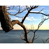 Jay Zee's photo