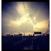 Justice Rines's photo