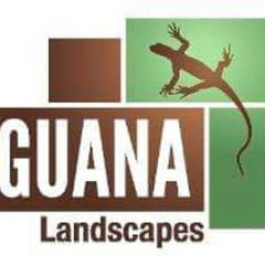 Iguana Landscapes