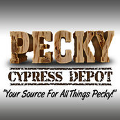 Pecky Cypress Depot !!!'s photo
