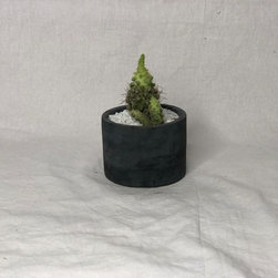 Concrete decor product - Products