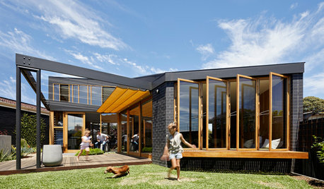 Jungle Fever: A Quirky Annexe That Feels Like Part of the Garden