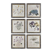 wall decor