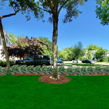 Landscape Designs