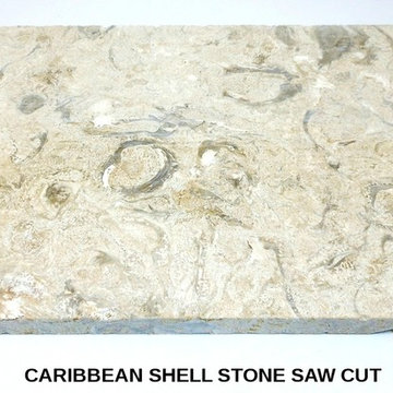 Caribbean Shell Stone
