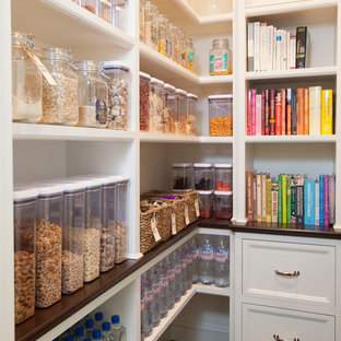 Traditional kitchen pantry designs - Elegant kitchen pantry photo in St Louis with white cabinets