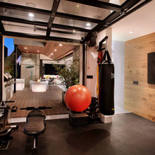 Basement / Fitness Center Concepts