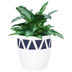 Contemporary Outdoor Pots And Planters by Pop Up Greens